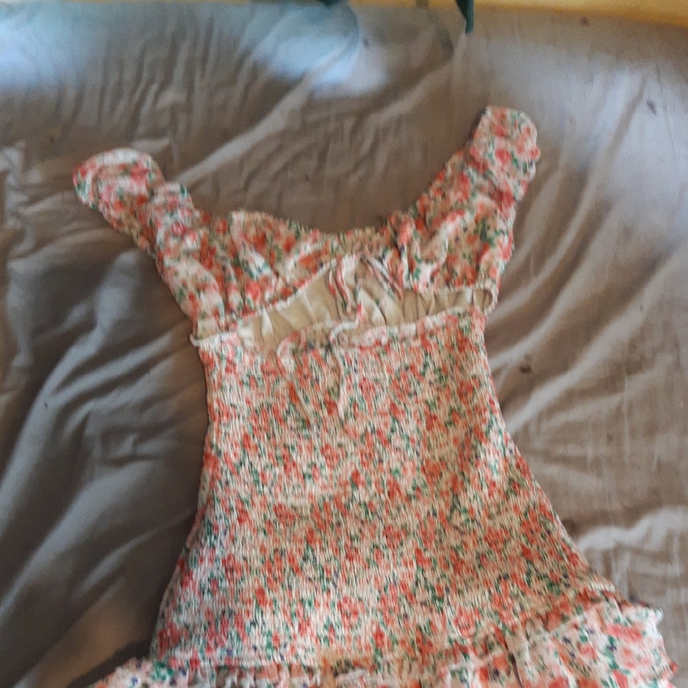 Floral Mini Dress with Ruffled Sleeves